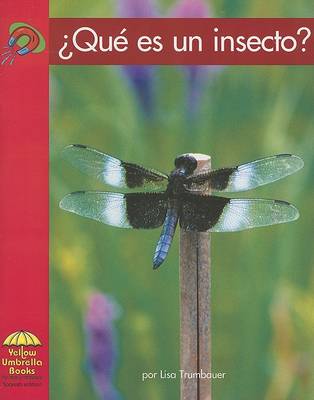 Book cover for ?que Es un Insecto?