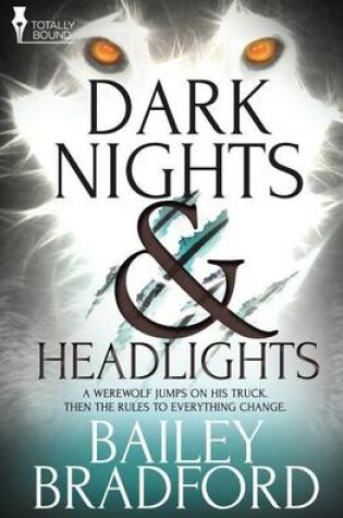 Cover of Dark Nights and Headlights