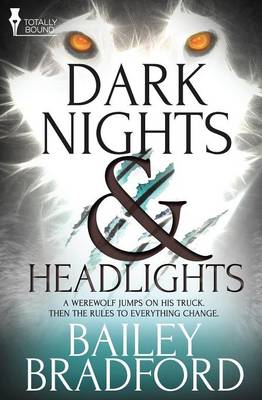 Book cover for Dark Nights and Headlights