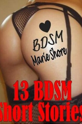 Cover of 13 BDSM Short Stories