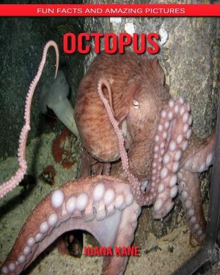 Book cover for Octopus