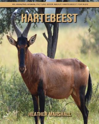 Book cover for Hartebeest