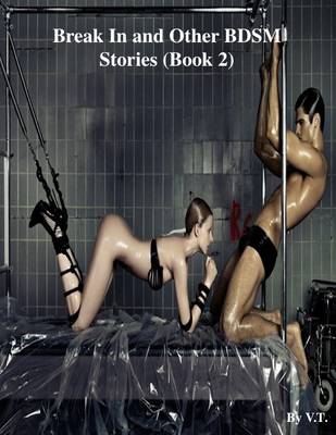 Book cover for Break In and Other BDSM Stories (Book 2)