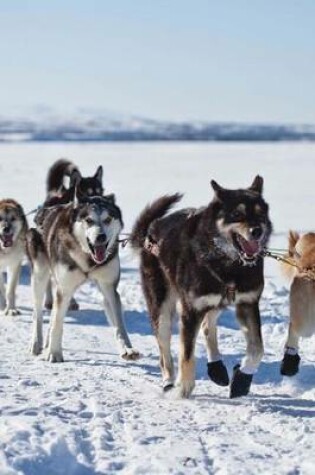 Cover of Dogsled Team in Alaska