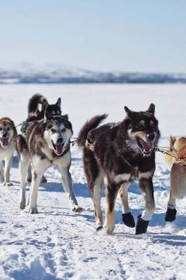 Book cover for Dogsled Team in Alaska