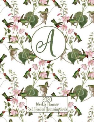 Book cover for 2020 Weekly Planner - Red Headed Hummingbirds - Personalized Letter A - 14 Month Large Print