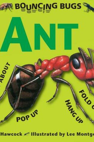 Cover of Bouncing Bugs - Ant