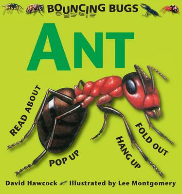 Book cover for Bouncing Bugs - Ant