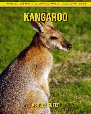 Book cover for Kangaroo