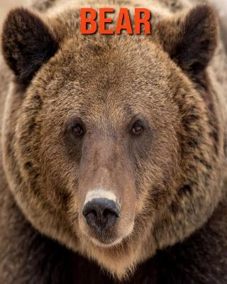 Book cover for Bear