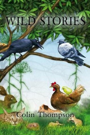 Cover of Wild Stories