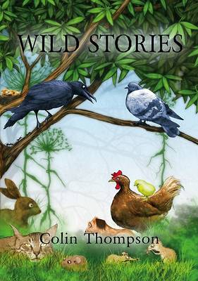 Book cover for Wild Stories