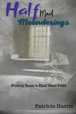 Book cover for Half-Mad Meanderings