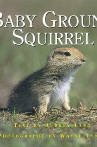 Cover of Baby Ground Squirrel