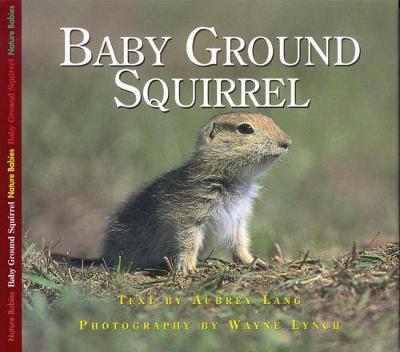 Book cover for Baby Ground Squirrel