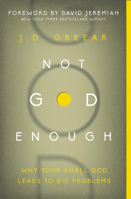 Book cover for Not God Enough
