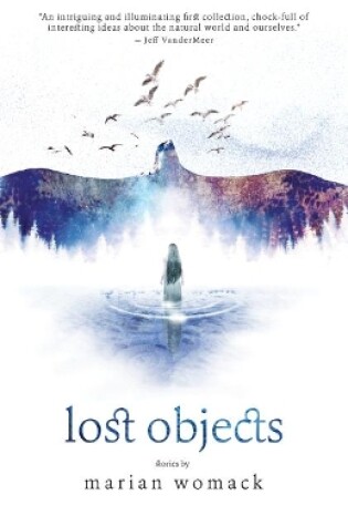 Cover of Lost Objects