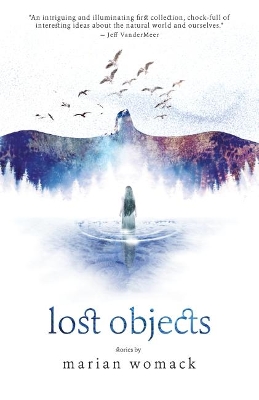 Book cover for Lost Objects
