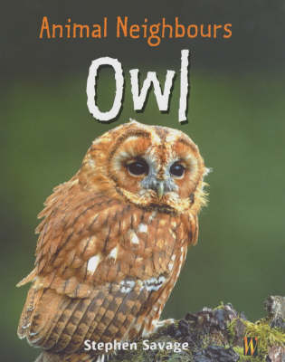 Book cover for Owl