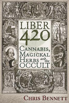 Book cover for Liber 420