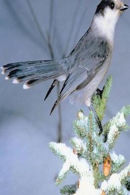 Book cover for Journal Wild Bird Winter Tree