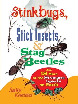 Book cover for Stink Bugs, Stick Insects, and Stag Beetles