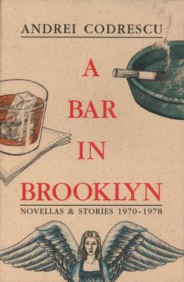 Book cover for A Bar in Brooklyn