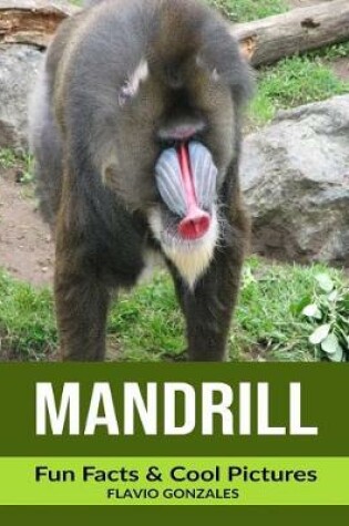 Cover of Mandrill