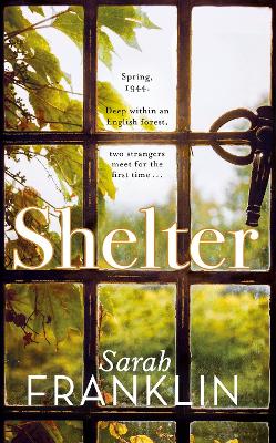 Book cover for Shelter