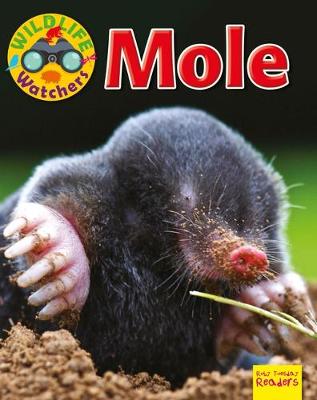 Book cover for Mole