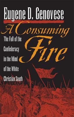 Book cover for A Consuming Fire