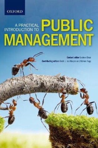 Cover of A Practical Introduction to Public Management