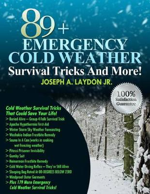Book cover for 89+ Emergency Cold Weather Survival Tricks And More!