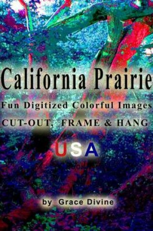 Cover of California Prairie Fun Digitized Colorful Images Cut-out, Frame & Hang USA