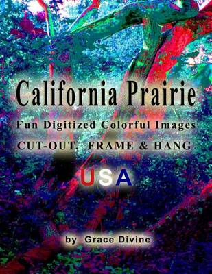Book cover for California Prairie Fun Digitized Colorful Images Cut-out, Frame & Hang USA