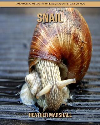 Book cover for Snail