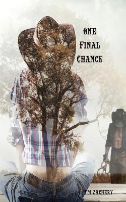 Book cover for One Final Chance