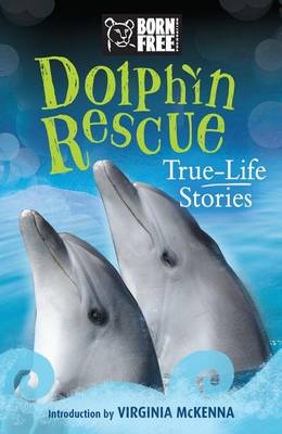 Book cover for Dolphin Rescue