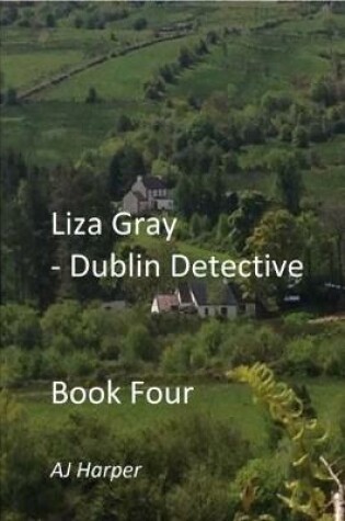 Cover of Liza Gray - Dublin Detective Book 4