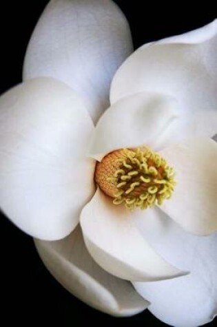 Cover of Lovely White Magnolia Flower Up Close Journal