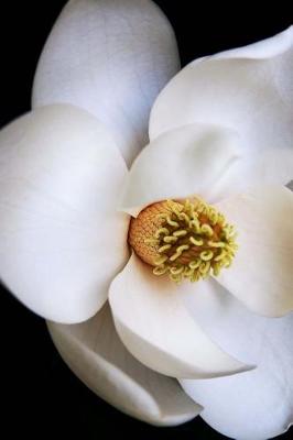 Book cover for Lovely White Magnolia Flower Up Close Journal