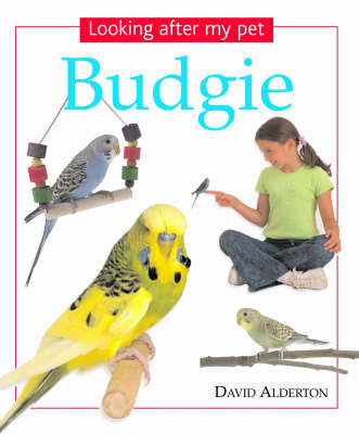 Book cover for Looking After My Pet Budgie