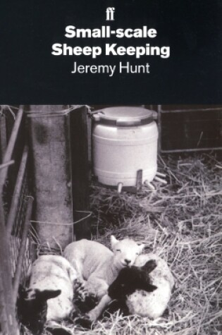 Cover of Small-Scale Sheep Keeping