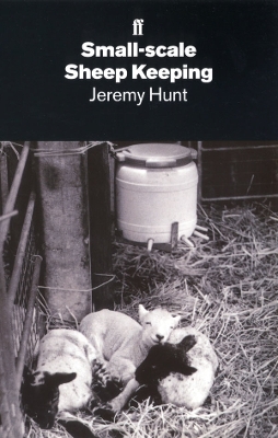 Book cover for Small-Scale Sheep Keeping