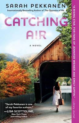 Book cover for Catching Air