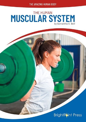 Book cover for The Human Muscular System