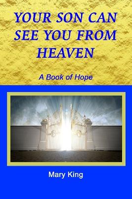 Book cover for Your Son Can See You from Heaven