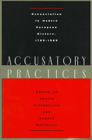 Cover of Accusatory Practices
