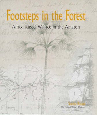 Book cover for Footsteps in the Forest