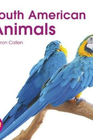 Cover of South American Animals